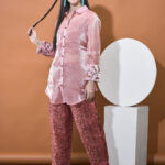 Chanderi & Organza Co-Ord Set